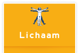 Lichaam