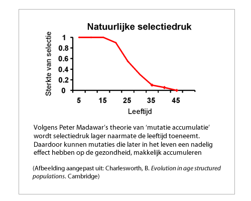 Mutatie accumulatie theorie