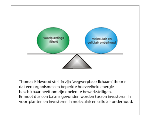 Wegwerpbaar lichaam